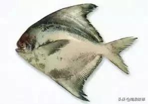 潮汕热销海鲜品种,潮汕常见的海鲜大全