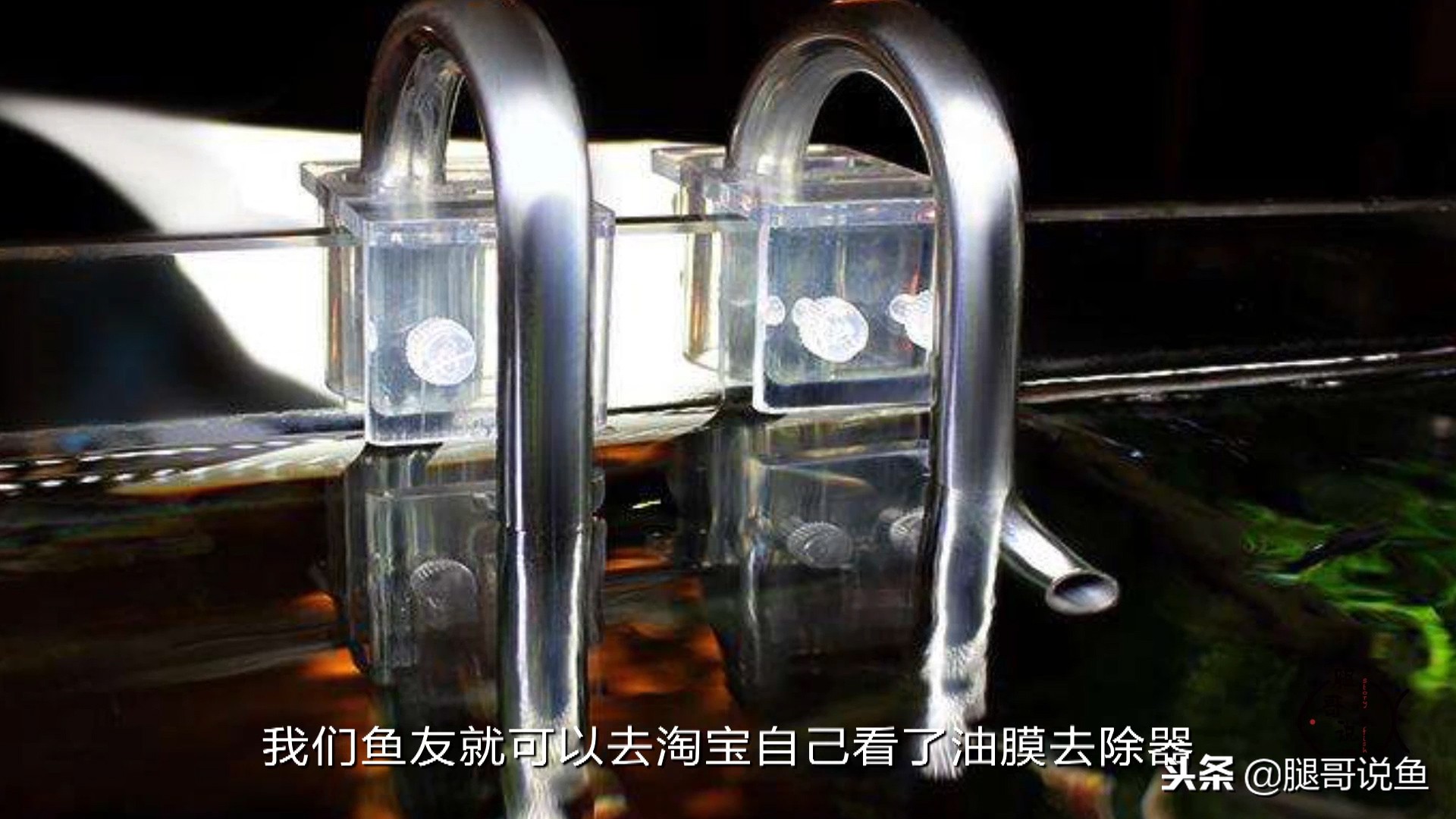 除油膜面巾纸,养鱼小技巧观赏鱼