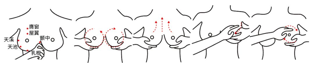 哺乳后胸部下垂怎么办,怎么预防胸部下垂