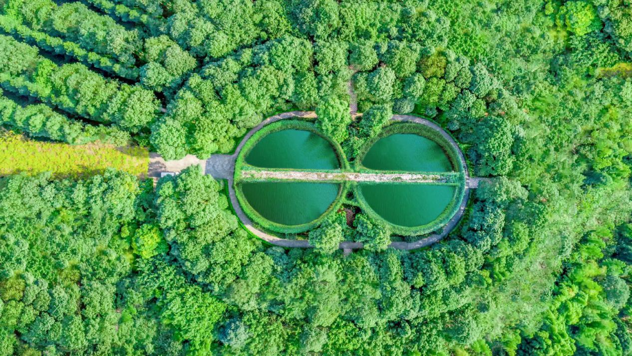 涓栫晫鍚嶉厭鍜屽▉澹繉瀵规瘮,涓栫晫鍗佸ぇ鍚嶉厭vs涓浗鍗佸ぇ鍚嶉厭