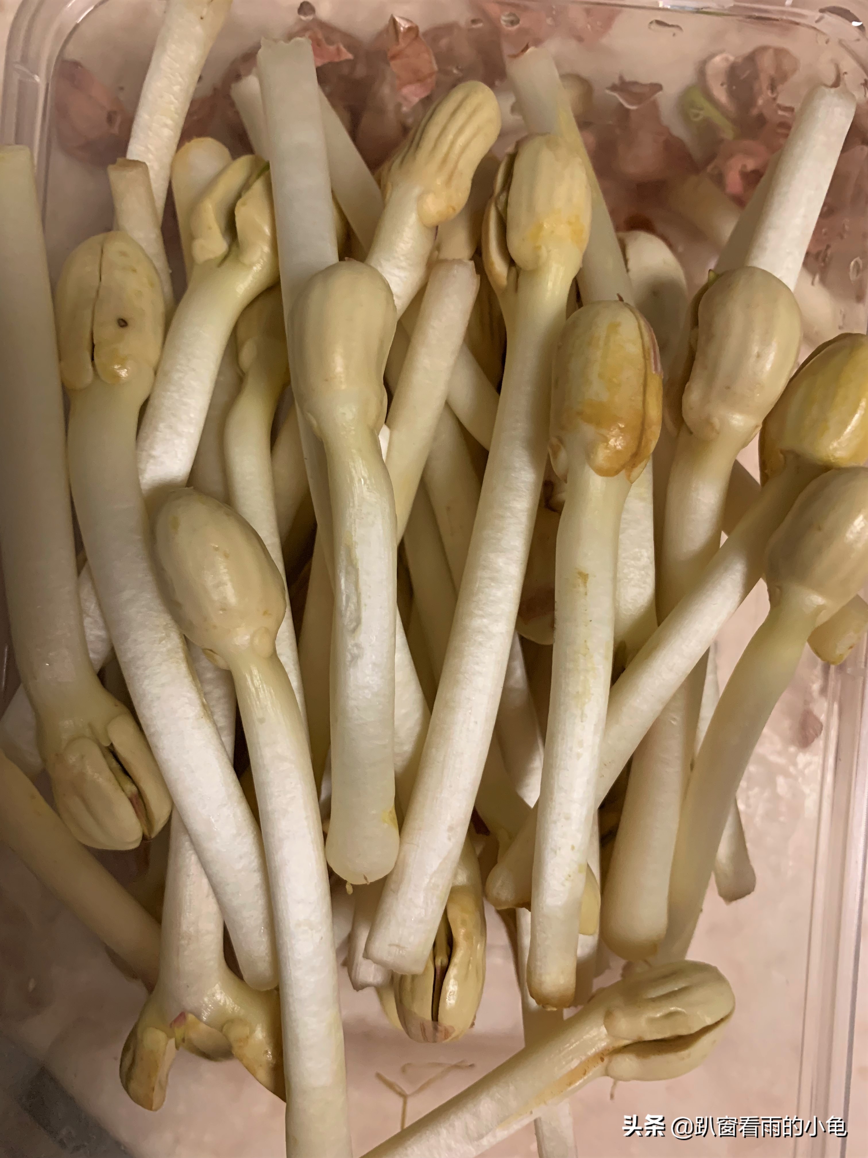 哪种花生芽又脆又好吃,百变花生