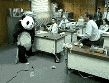 2020年摄影点评部分低分照片合集(下)(前方大量熊猫出没)