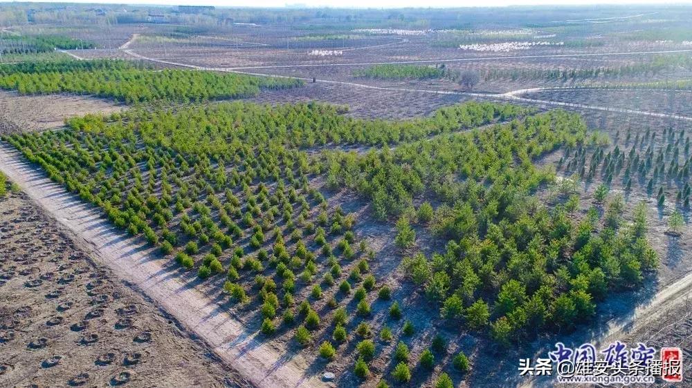 雄安值得一去吗,雄安最值得去的地方