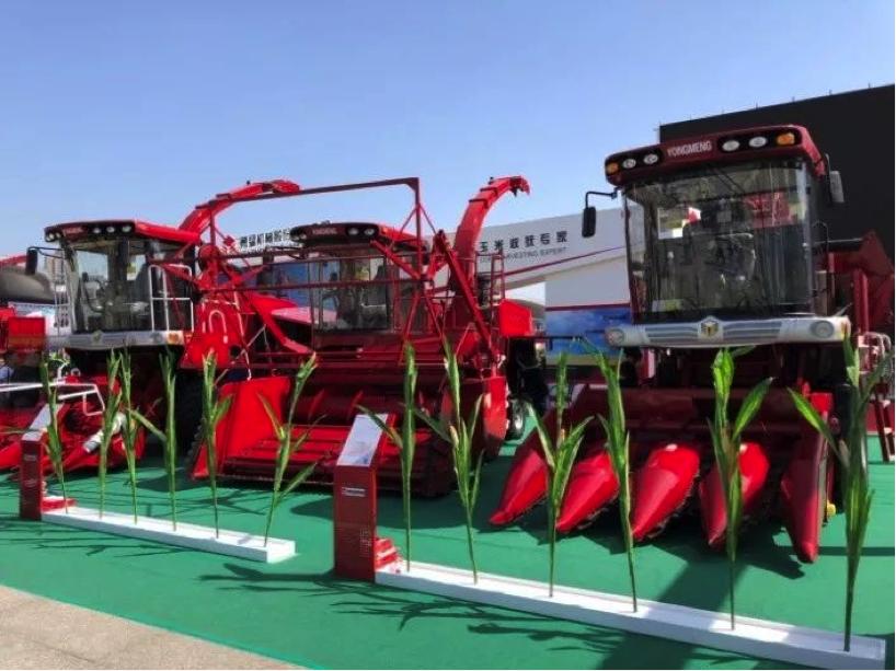 从一个小厂发展为公司的经历文章,从一个小企业发展到集团公司