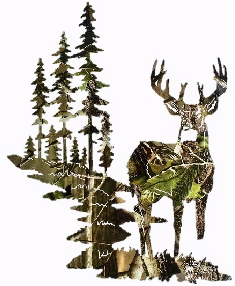 中梁·湖光学府麋鹿·森林书吧