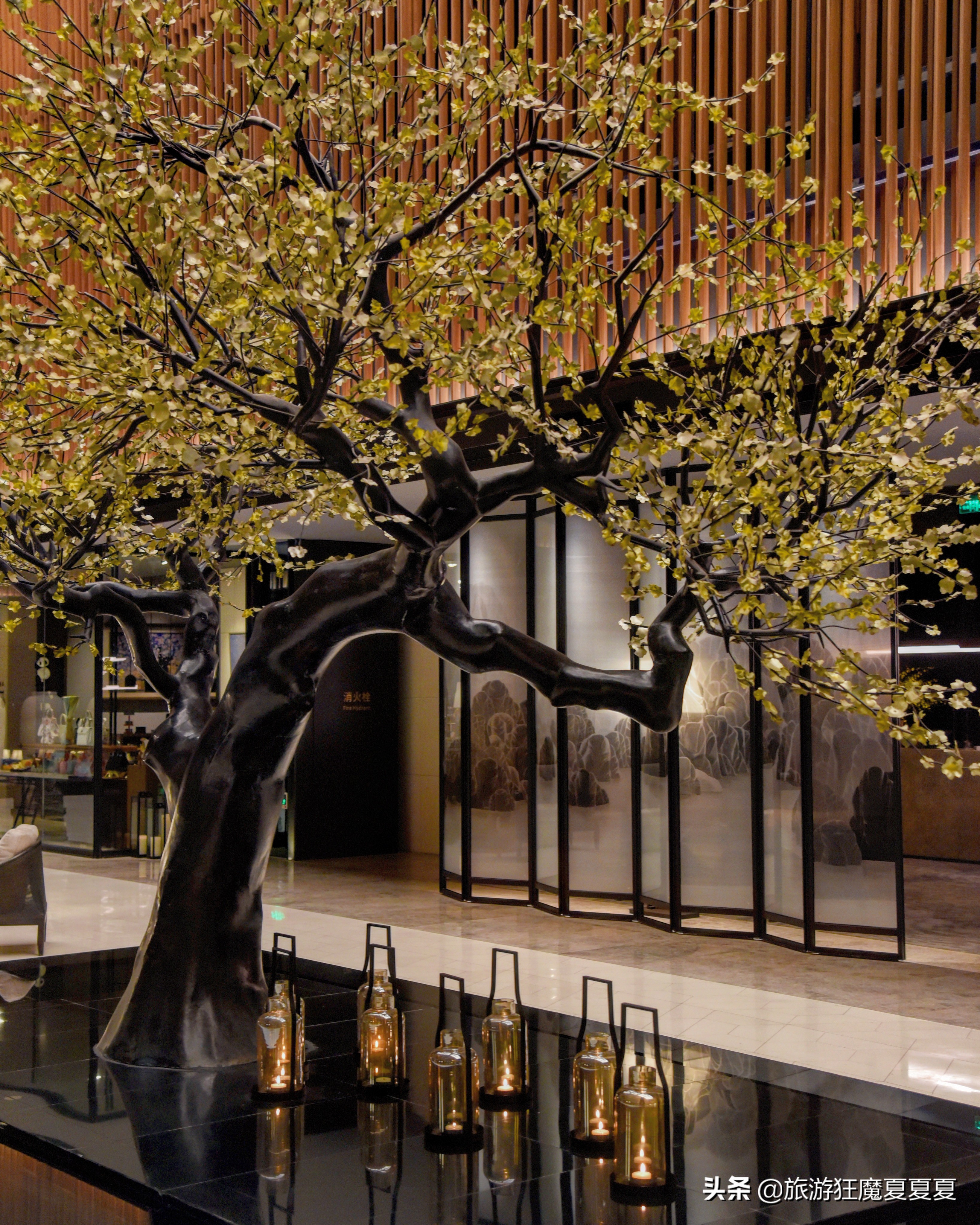 南京适合亲子聚餐地,南京适合亲子活动度假村