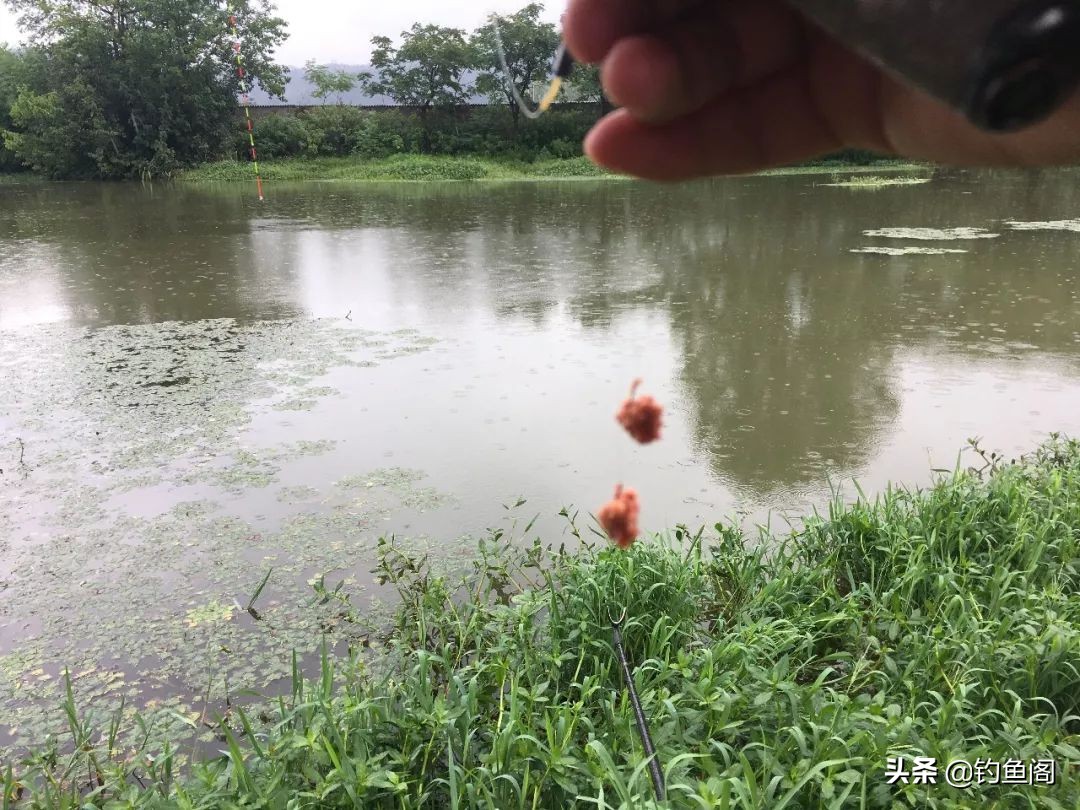 钓鱼频繁咬钩的危害有哪些,钓鱼总是咬钩很深