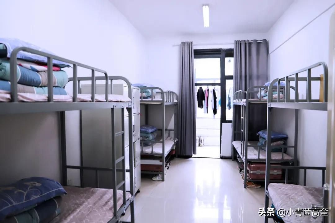 云南曲靖会泽县茚旺高中致远中学高一新生及补习班招生简章来啦