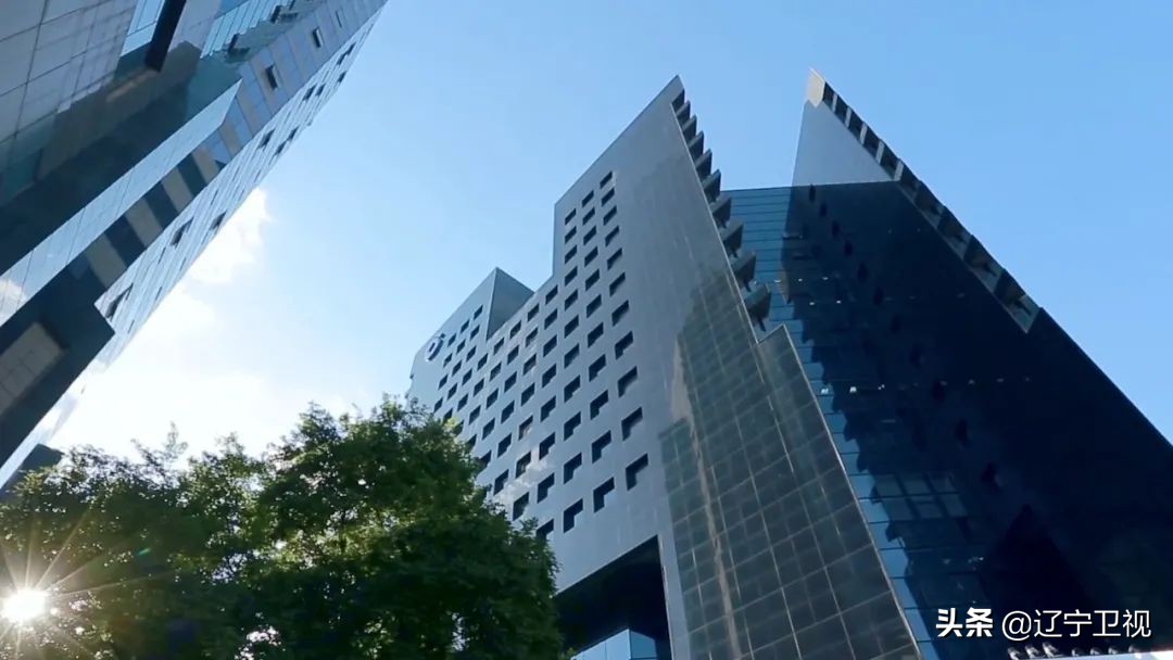 东港草莓红火,东港草莓产业成功的奥秘