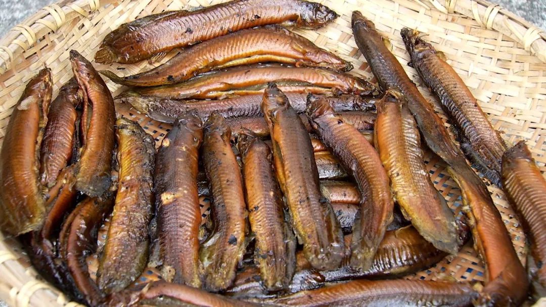 500元养殖泥鳅一年能收入多少,藕塘里养泥鳅赚了钱