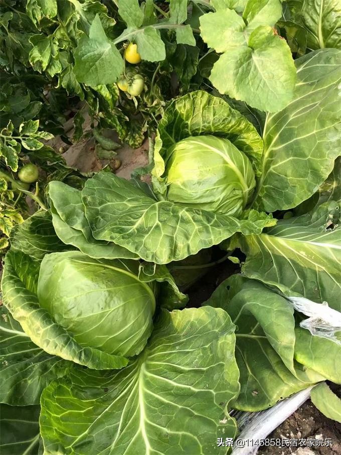 蓟县盘山农家山庄,盘山玉环山庄