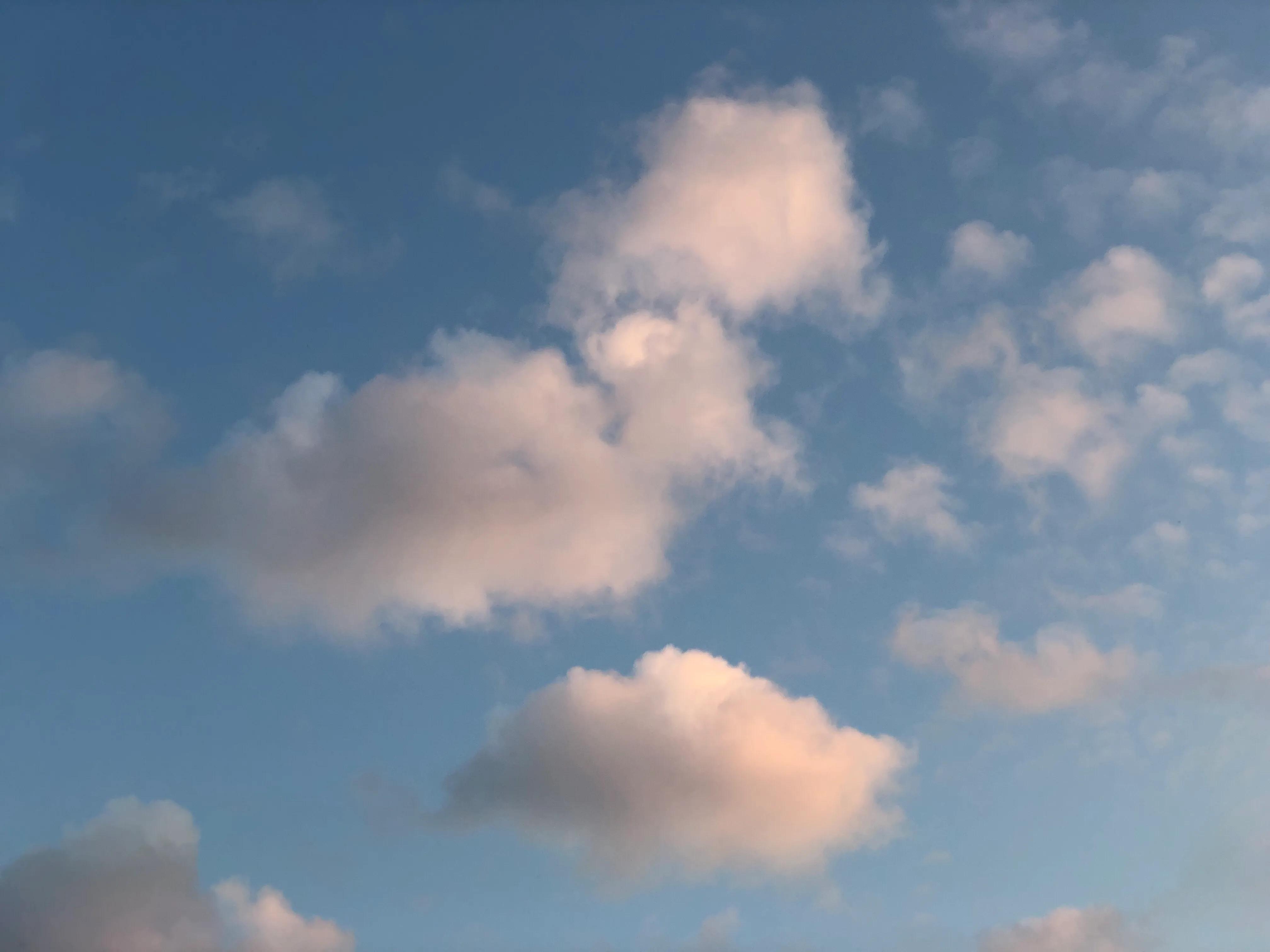 如何正确看待爱慕虚荣,怎么看待虚荣的人