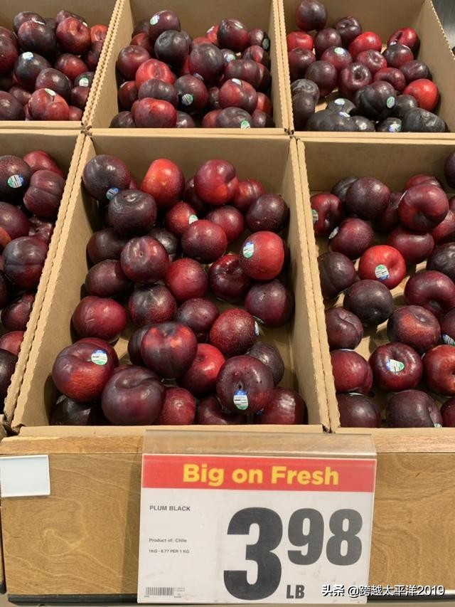 加拿大多伦多costco购物必买 (加拿大必买超市)