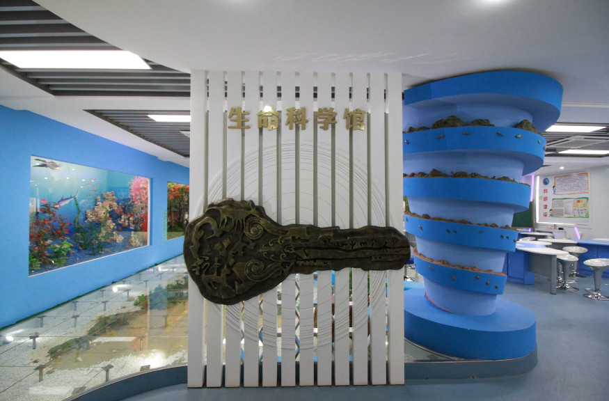 看完南京中山小学的家长，我觉得自己家孩子不配上学