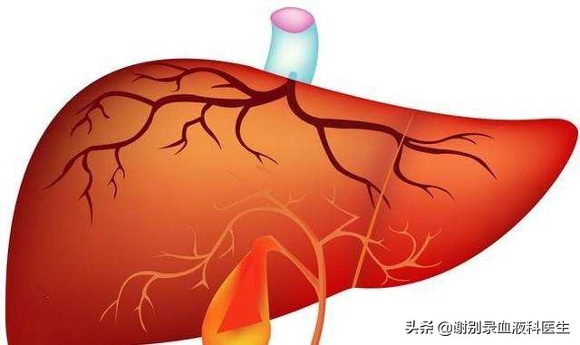 中医治疗紫癜肾的原理,紫癜性肾炎中医调理牢记4个重点