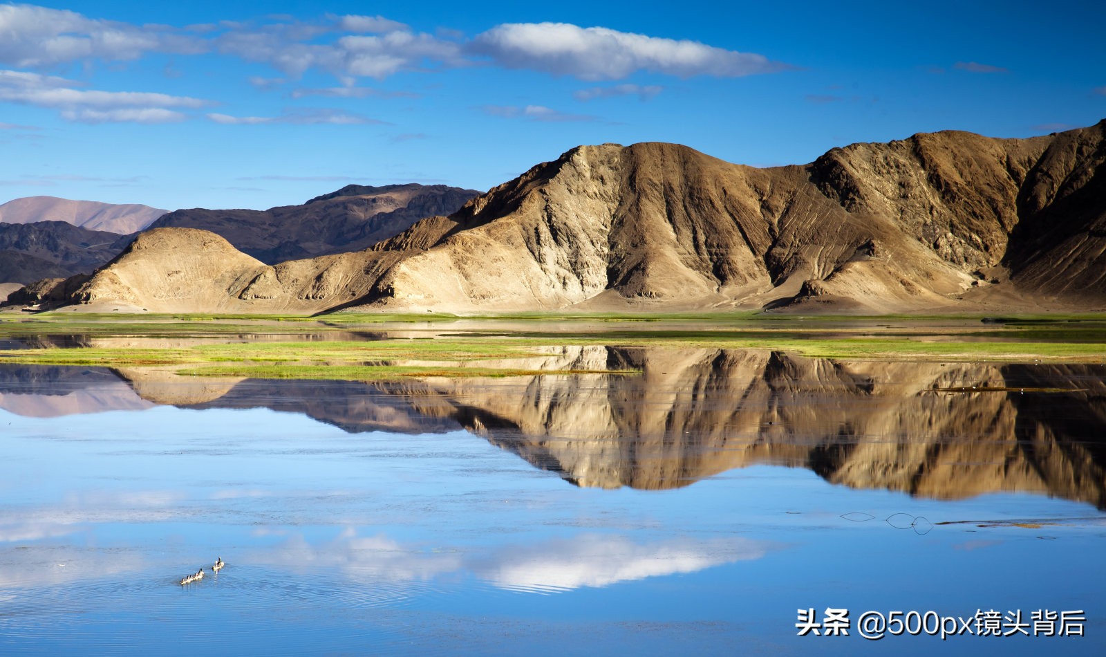 取景器里的世界永远是最美的,来看看取景器里面的绝美画面
