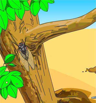 最美诗词音乐,欧阳修鸣蝉赋