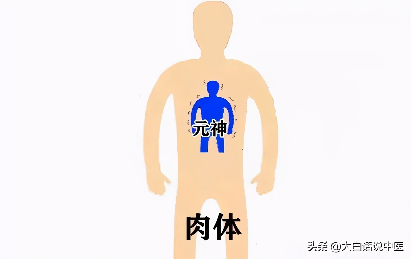 大白话说中医第七十九集,大白话说中医第十九期