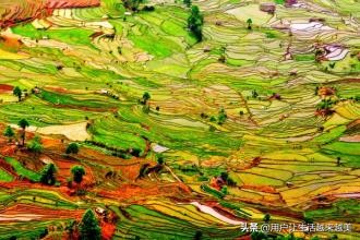 元阳是个美丽的地方,元阳是美丽城市吗