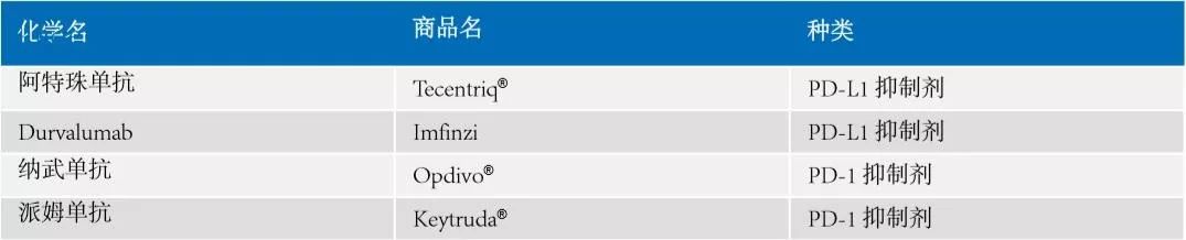 肺癌治疗指南2023文档下载,肺癌指南2023年版下载