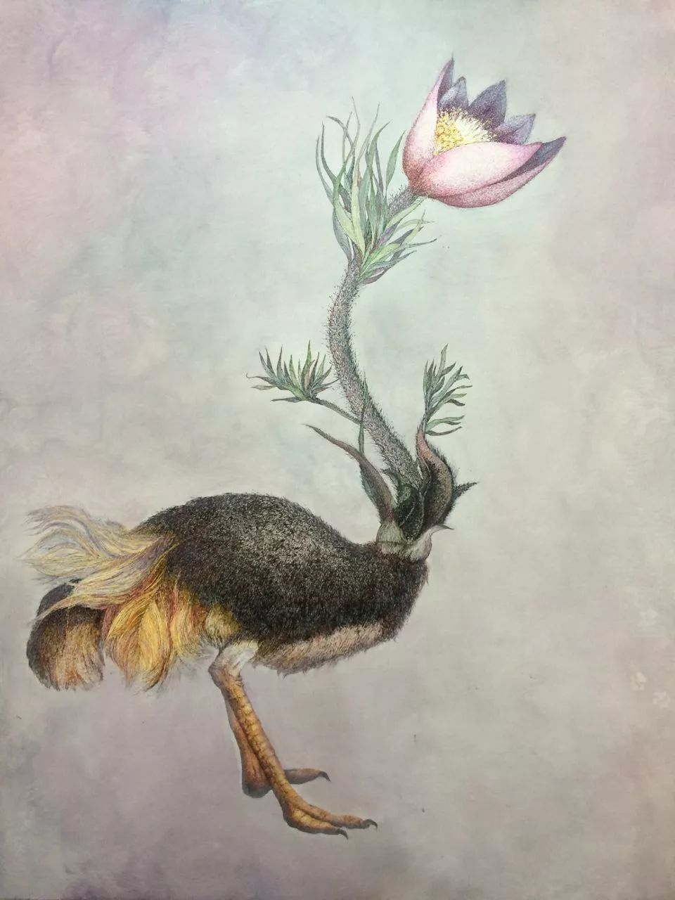 何玲艺术字,何玲耳穴疗法合集