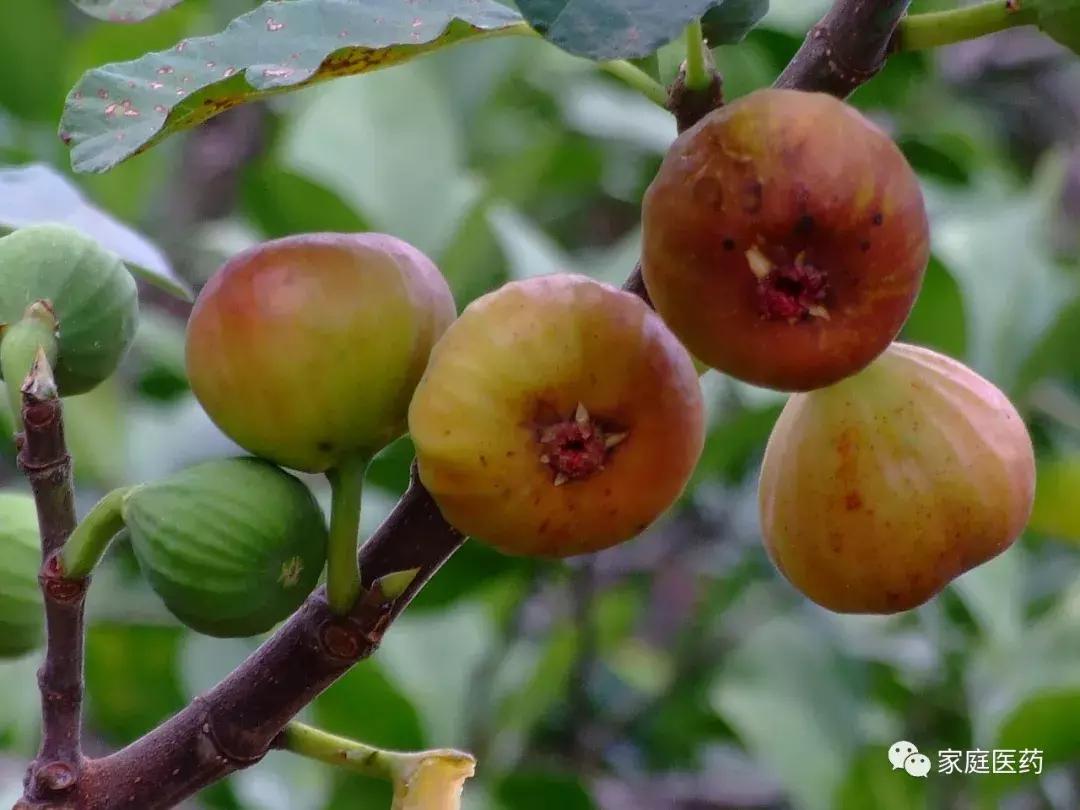 染发皮肤过敏应该用什么药物治疗,皮肤过敏对症下药