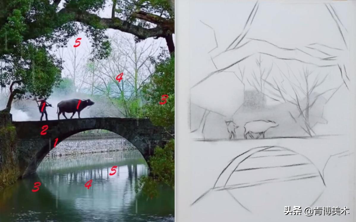 素描绘画教程新手入门零基础学画,素描绘画入门教程步骤