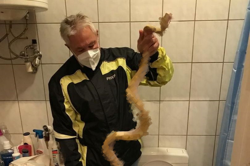 厕所被眼镜蛇咬男子怎么样了,男子上厕所不小心被青蛙咬