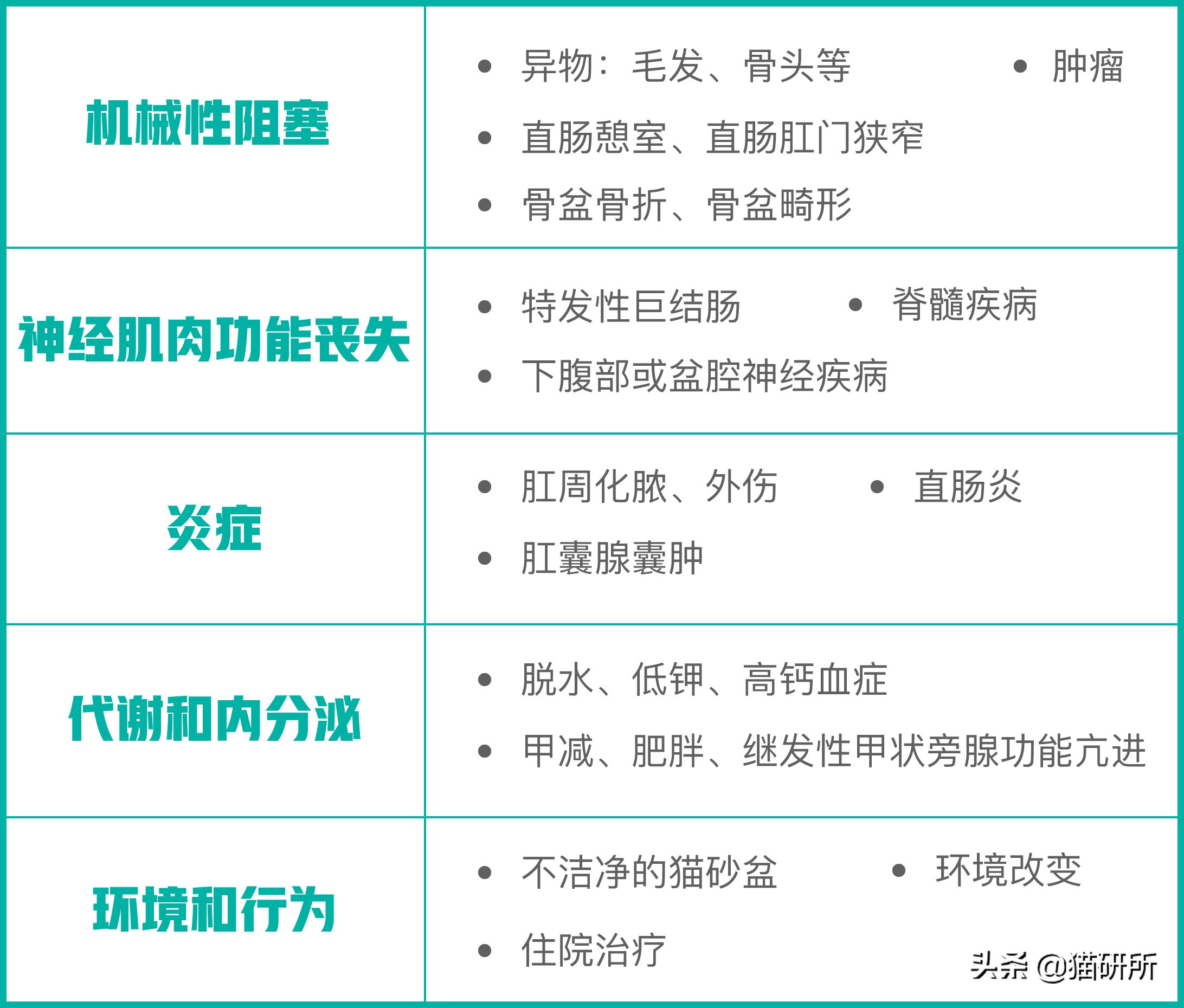 猫咪便秘快速通便10秒见效,怎么解决猫咪便秘