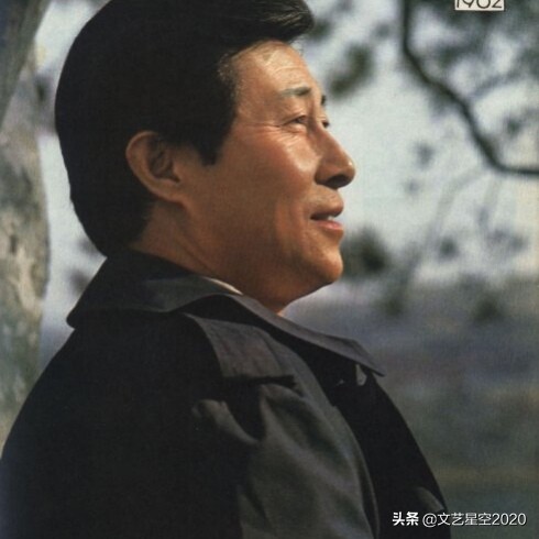 王心刚主演的电影,王心刚经典电影回顾