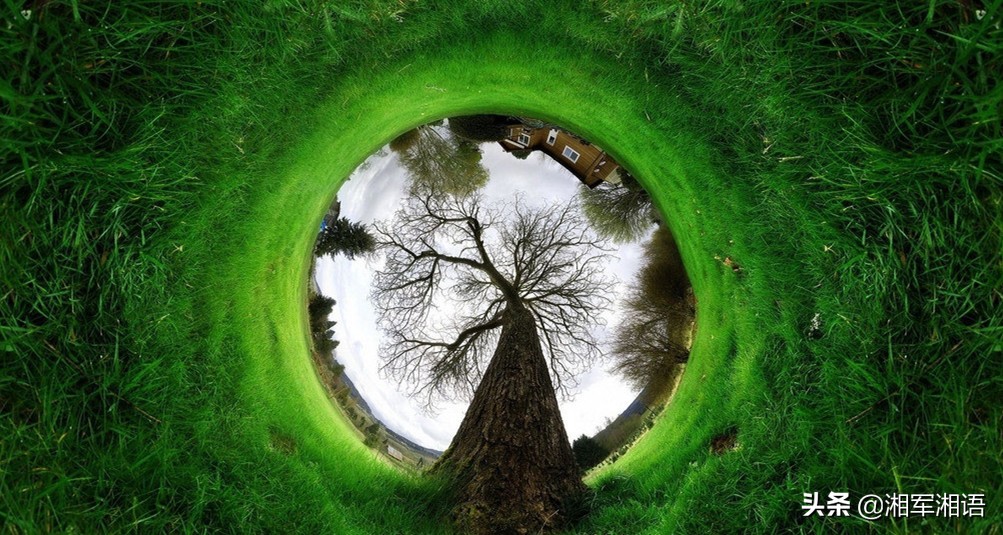 好市多开业抢购,好市多印尼店