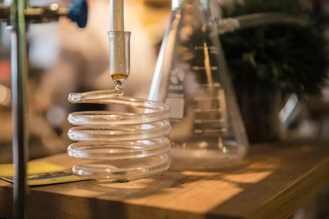 墨尔本旅行游记,墨尔本旅游之旅