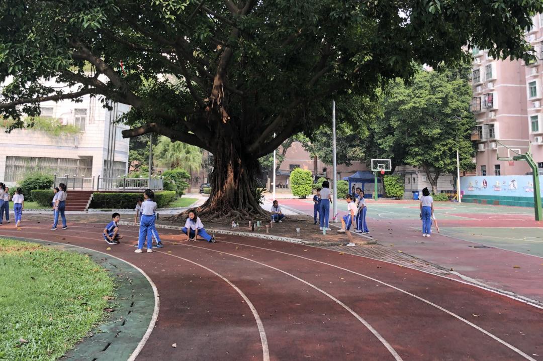 珠光路小学刚建时的照片,珠光小学现在变成什么样了