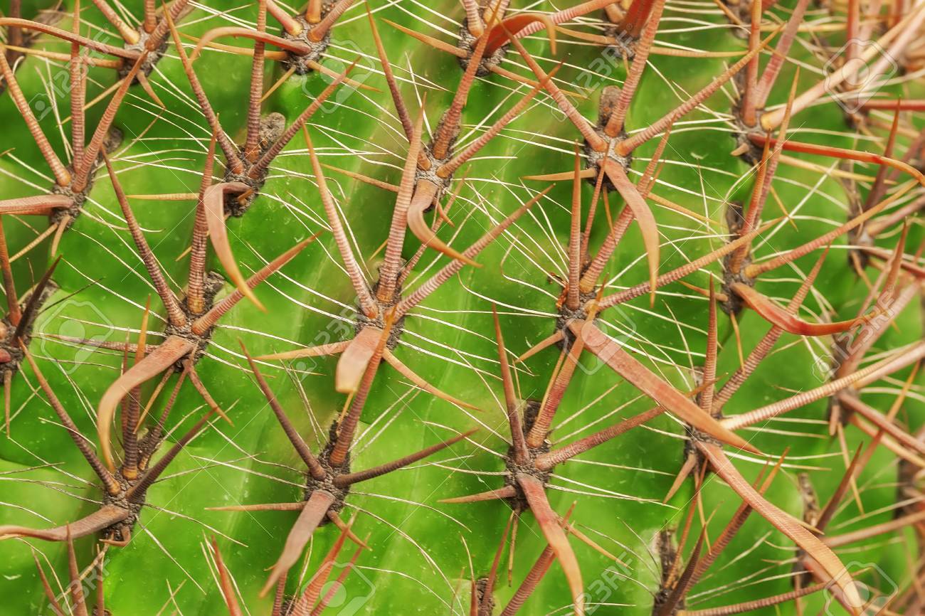 科学家破译地球生命,科学家解开人类的秘密
