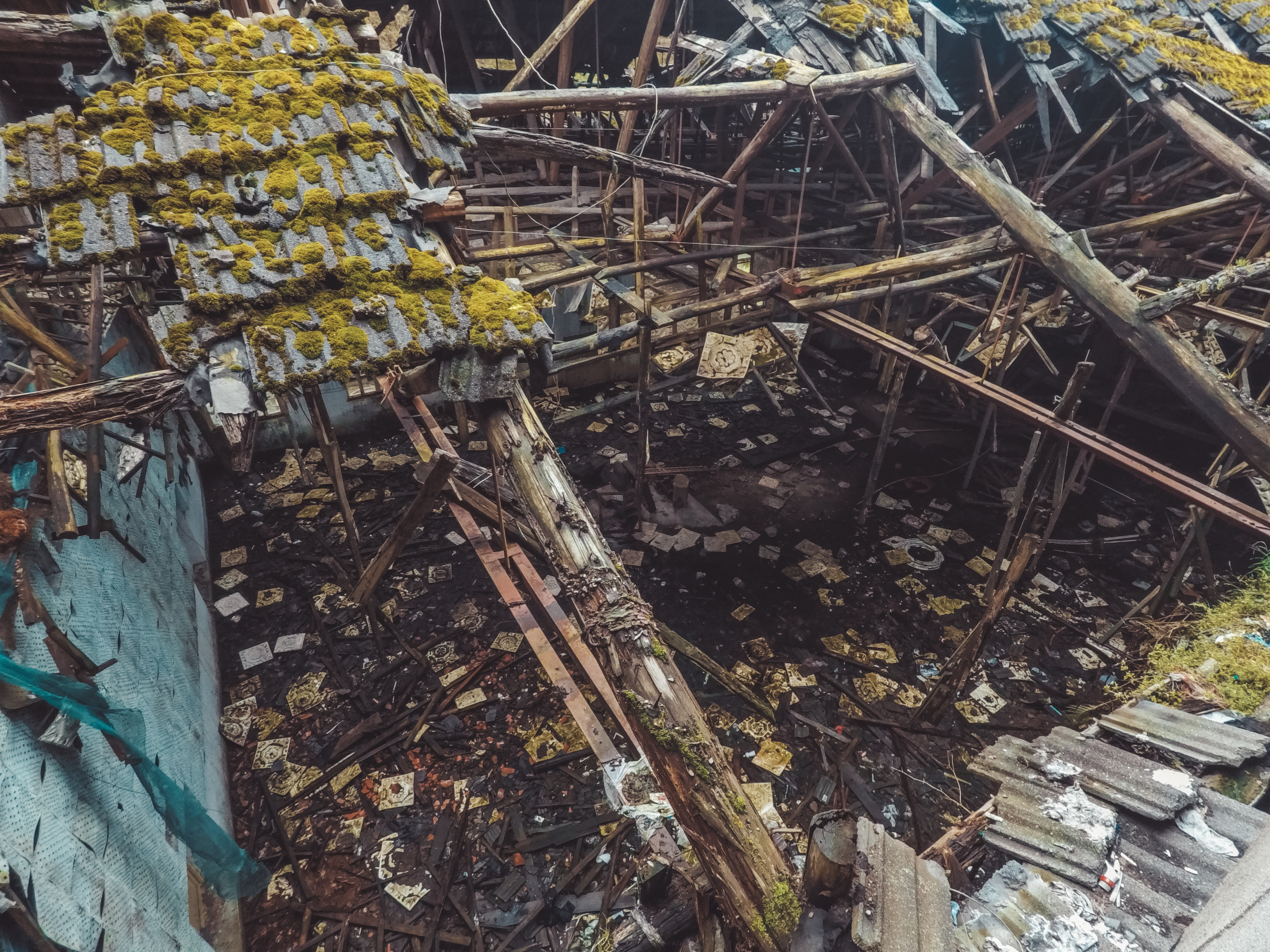 绿水青山的垦殖场