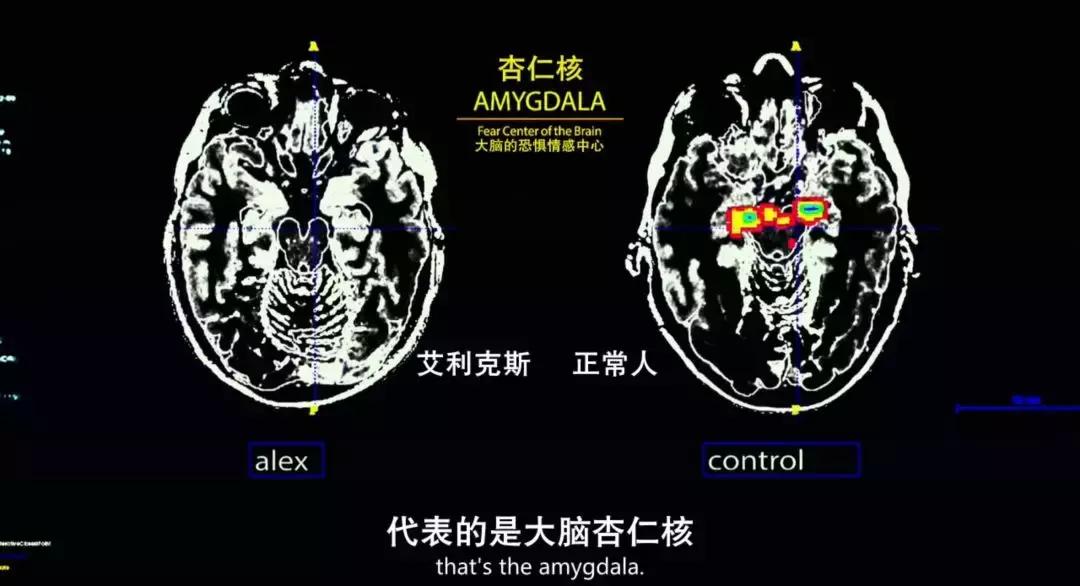 奥斯卡历届最佳摄影奖作品,奥斯卡金像奖最佳摄影奖