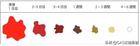 产后妈妈恢复身材的四个动作,产后妈妈的身体变化