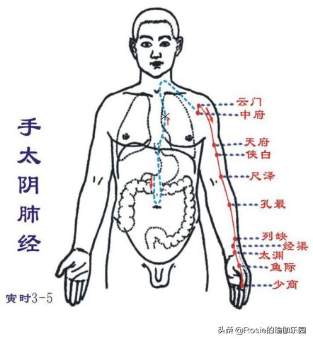 盘坐后腿疼,盘膝坐后直立起来腿痛