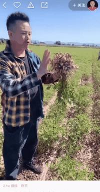 短视频一般拍什么涨粉快,拍什么短视频涨粉快