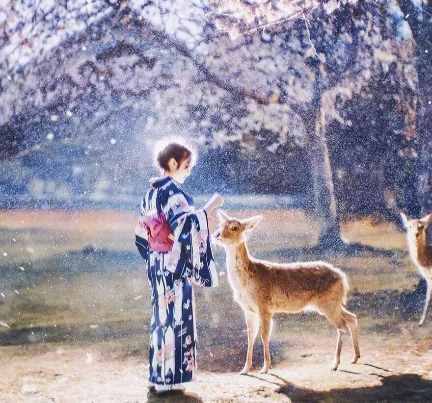 歌手主播团队,明星小主播朗诵