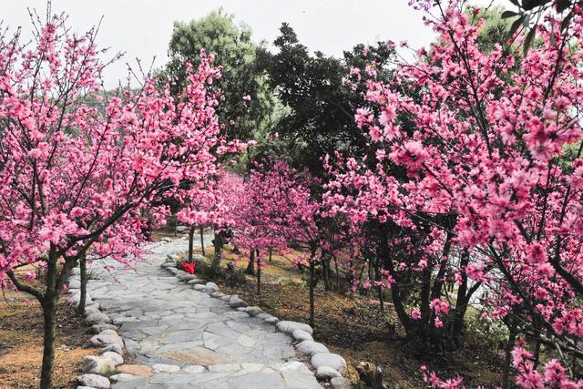 庐山西海阳光照耀29号度假村,庐山西海29度景区