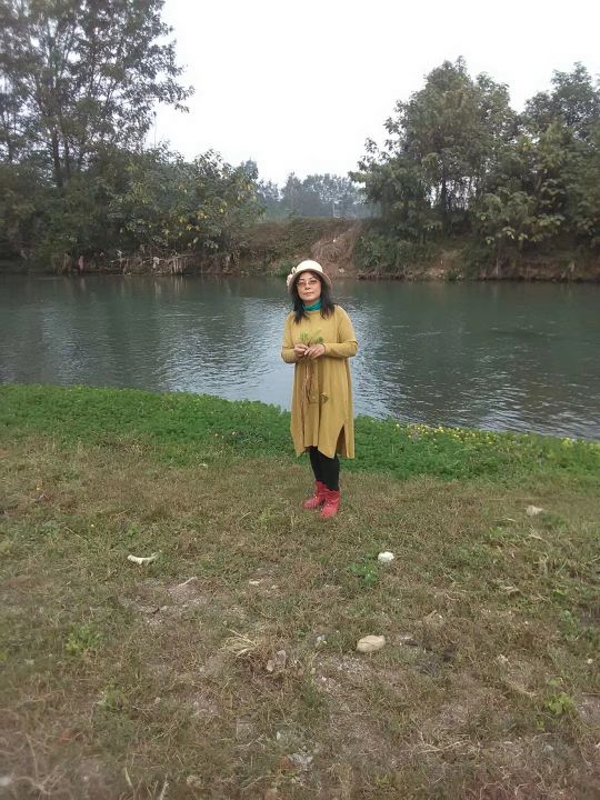 真正的江油附子,江油附子的功效