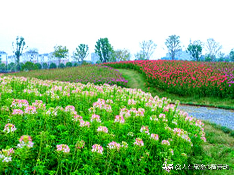 杭州市余杭区景点规划,杭州市余杭区旅游景点大全