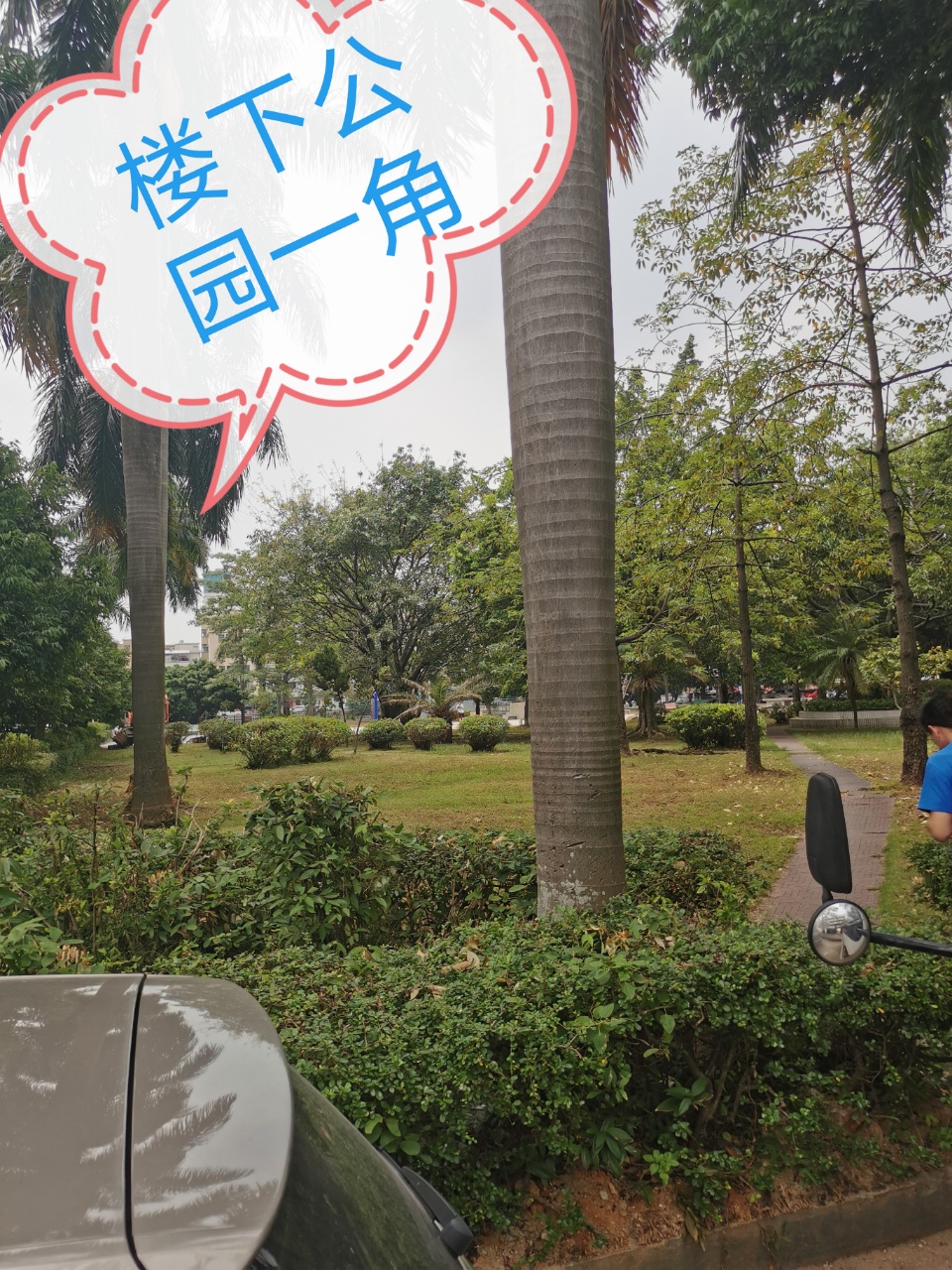 东莞市虎门镇南栅富民花园小区,虎门南栅富民花园别墅