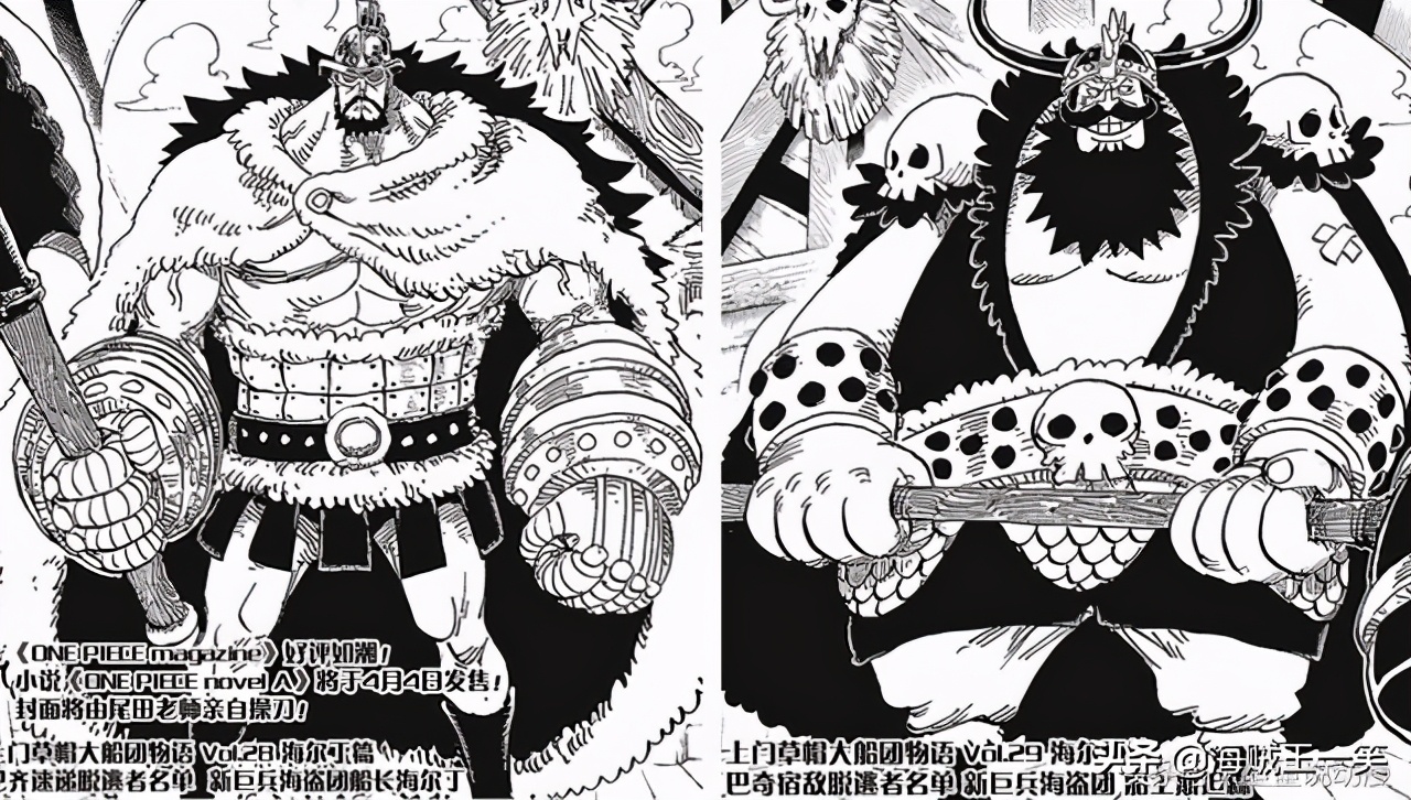 海贼王草帽大船团成员,海贼王草帽大船团所有队长的图片