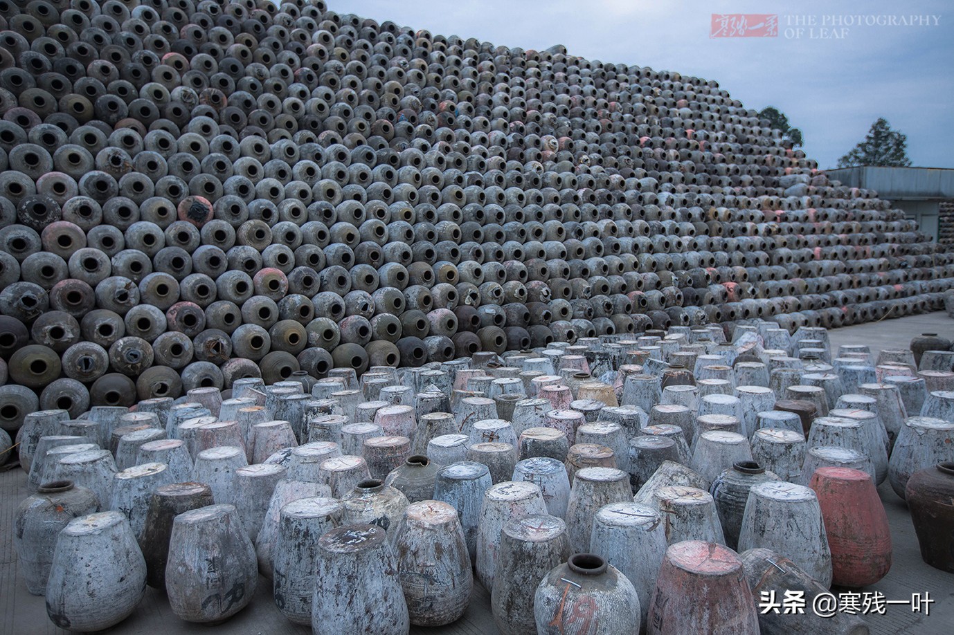 酒厂酿酒技术大全,台州酒厂手酿酒