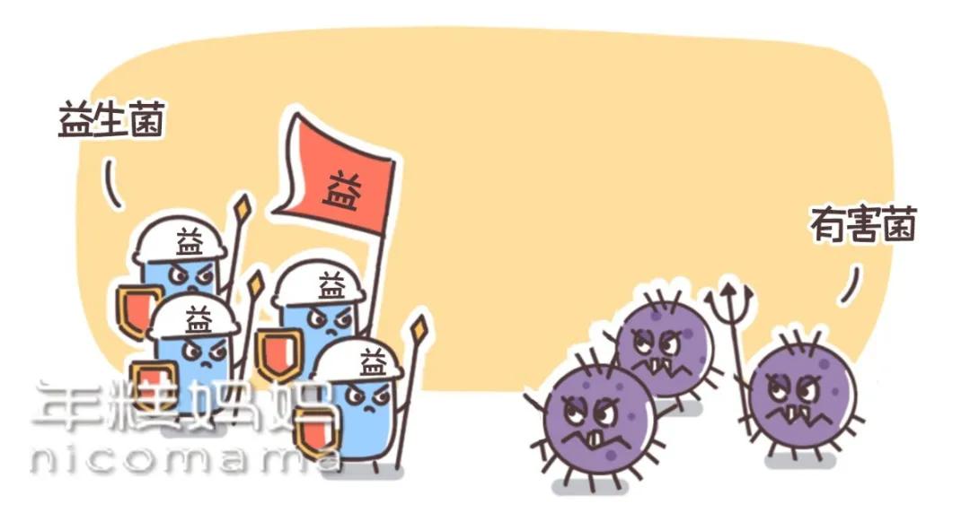 乳酸菌、益生元、益生菌是什么？分清这几点，让你少花冤枉钱