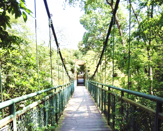 成都最高的山海拔多高,成都爬最高的山