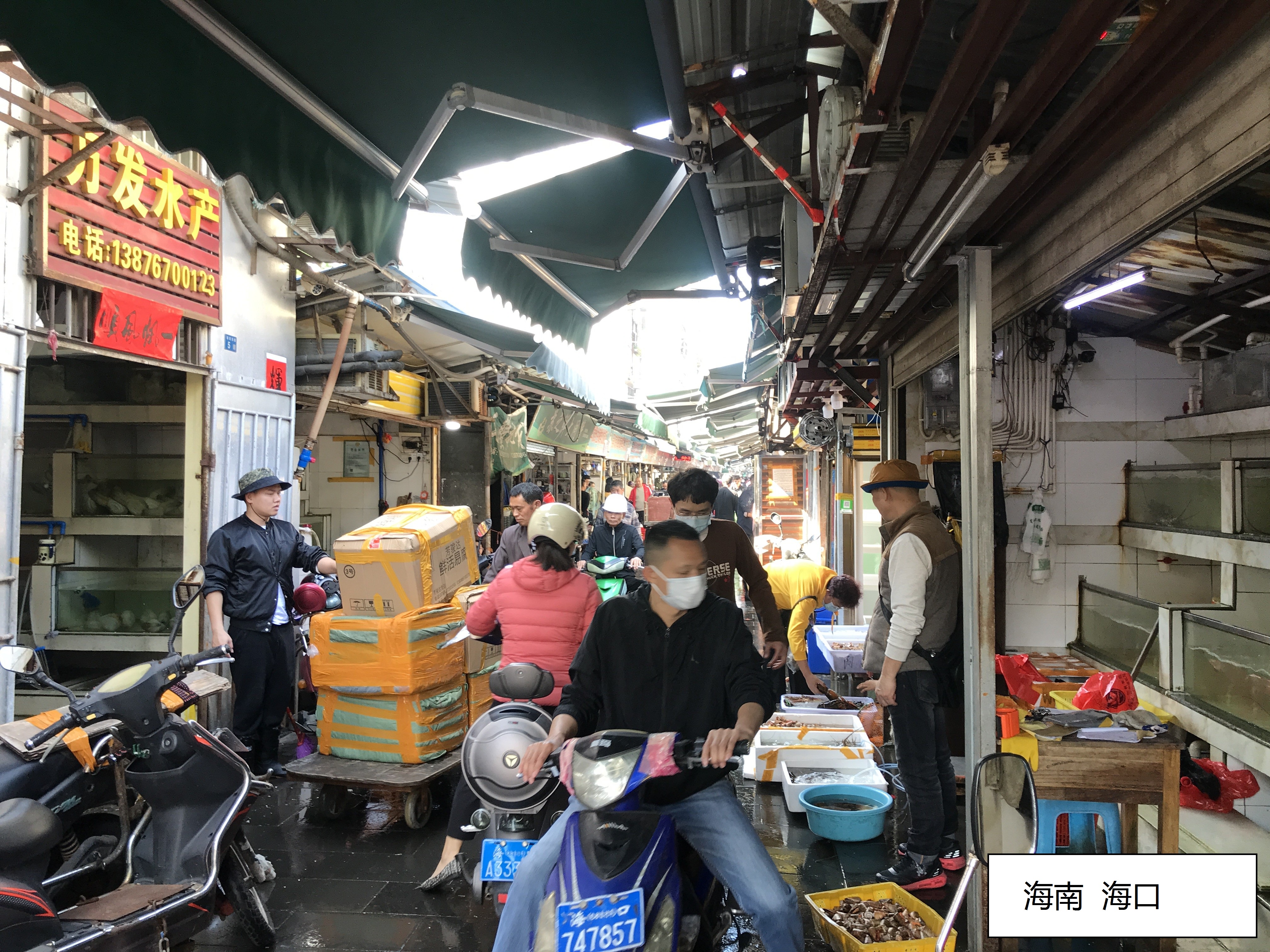 在海南生活体验,在海口是什么体验