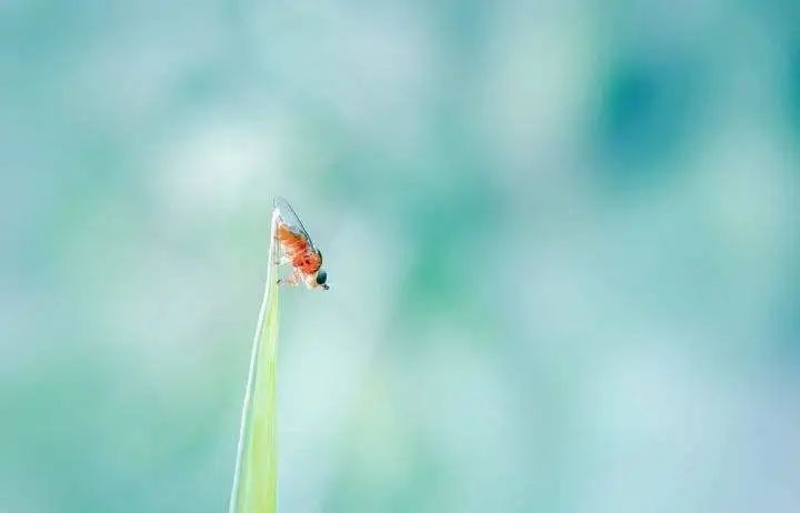 一周活动播报,一周活动掠影完整版